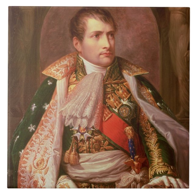 Napoleon Bonaparte (1769-1821), som kung av Kakelplatta (Framsidan)