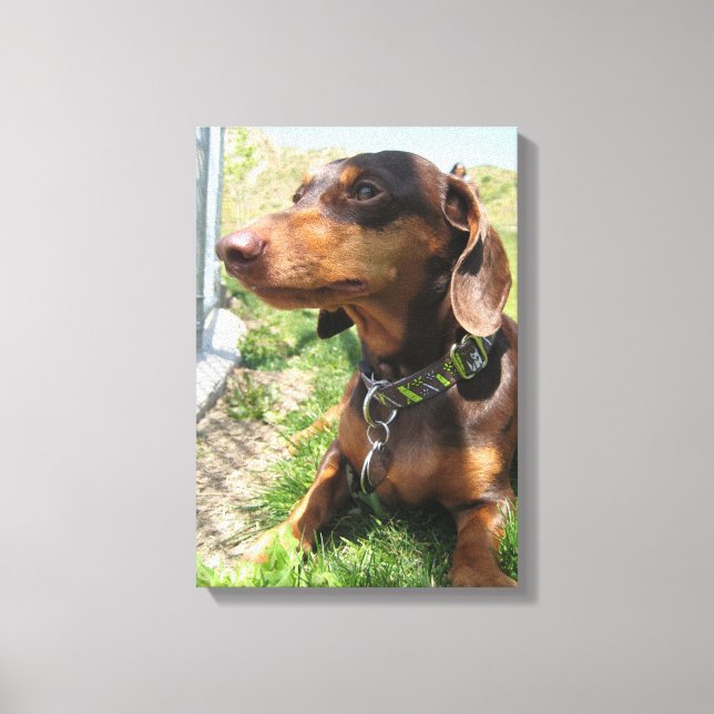 napoleon canvastryck (Framsida)