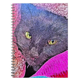 Napoleon i en filt anteckningsbok