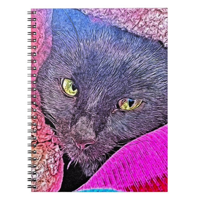 Napoleon i en filt anteckningsbok (Framsidan)