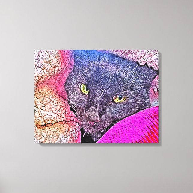 Napoleon i en filt canvastryck (Framsida)