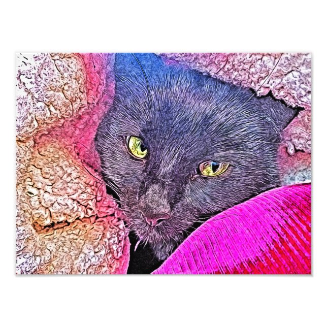 Napoleon i en filt fototryck (Framsidan)