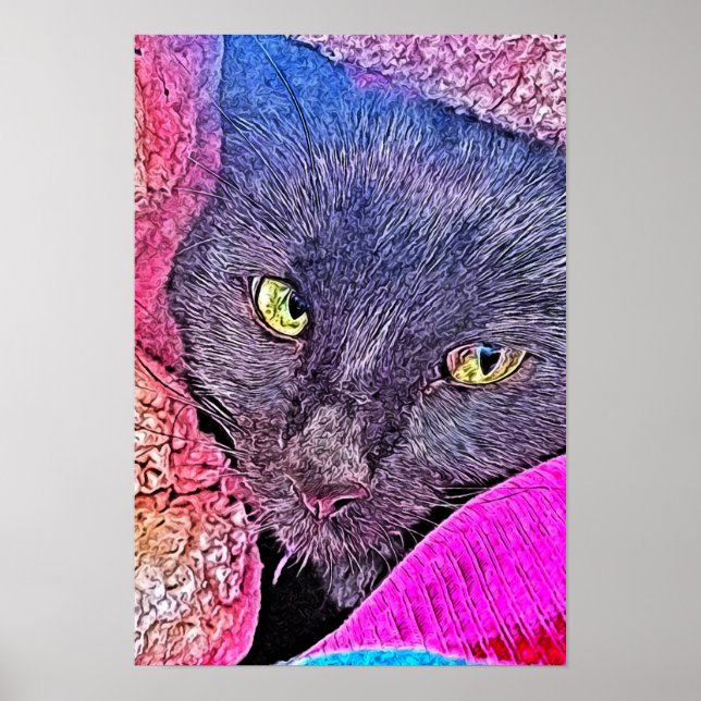 Napoleon i en filt poster (Framsidan)