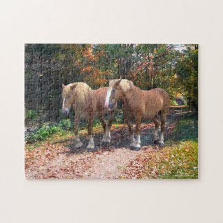 "Napoleon & Josephine" Puzzle Pussel
