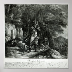 Napoleon om införseltull poster