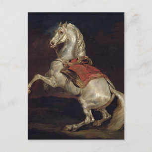 Napoleons allion, Tamerlan Vykort