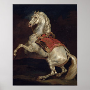 Napoleons hingst, Tamerlan Poster