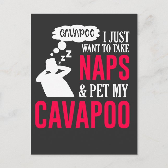Napping and pet my Cavapoo Hund Nap Humor Vykort (Framsida)