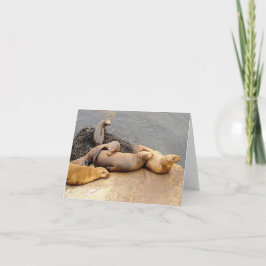 Napping Baby Sea Lejon Anteckningskort