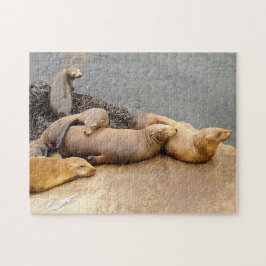 Napping Baby Sea Lejon Pussel