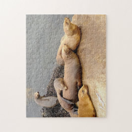 Napping Baby Sea Lejon Pussel