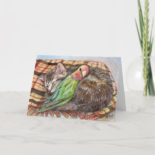 Napping Buddy Kort (Framsida)