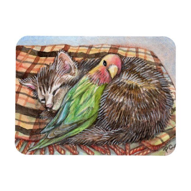 Napping Buddy Magnet (Horisontell)