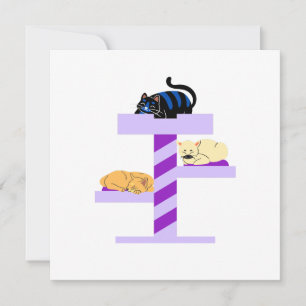 Napping Cat Sticker Inbjudningar