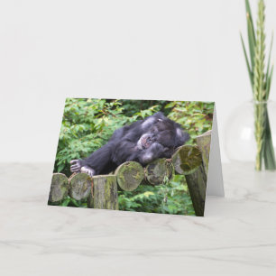 Napping Chimpanzee Birthday Humor Kort
