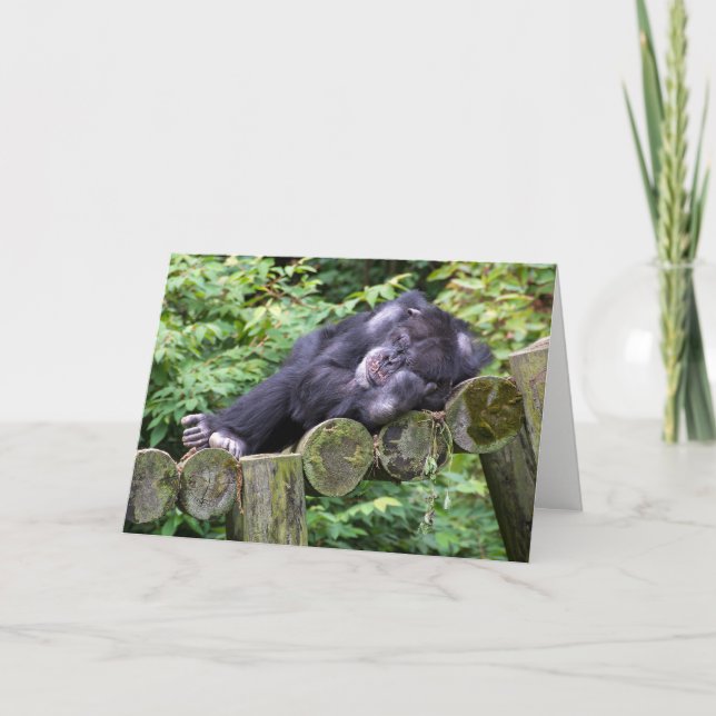 Napping Chimpanzee Birthday Humor Kort (Framsida)