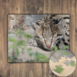 Napping Ocelot Pussel<br><div class="desc">En Ocelot kramar bakom buskarna på en coola marmorgon. Spoter och rand täcker sitt mjuka päls och erbjuder kamouflage i det nedbländade solljuset. Hans öron är vaksamma och söker efter allt buller som kan signalera att det ber eller utgör ett hot. Hans ögon är fixerad vid något i avstånd. Grönten,...</div>