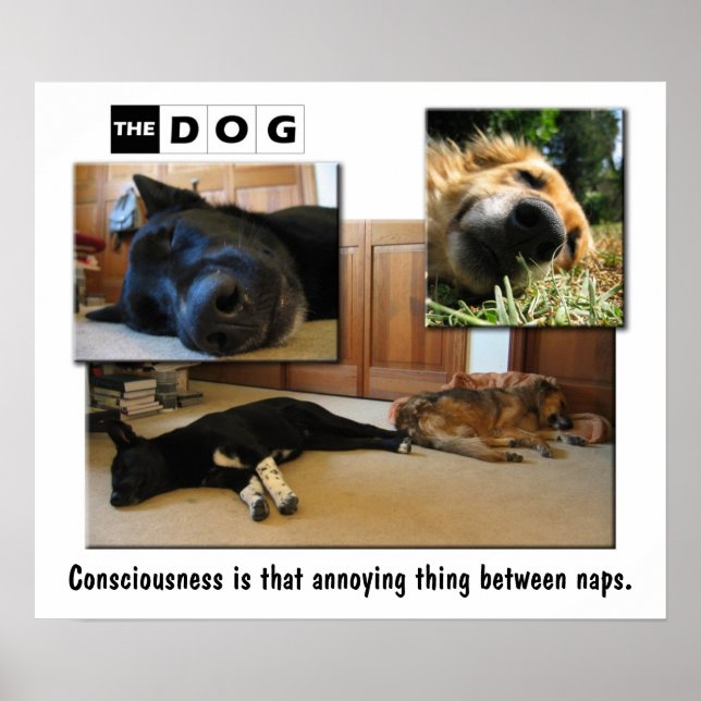 Napping. Poster (Framsidan)