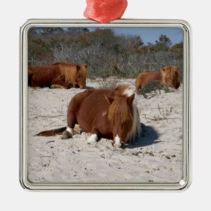 Napping Vild Ponies at Assateague nationalpark Julgransprydnad Metall