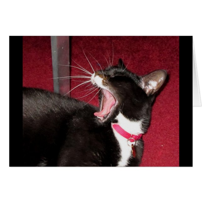 Naptime for Lucy Hälsningskort (Framsidan Horizontal)