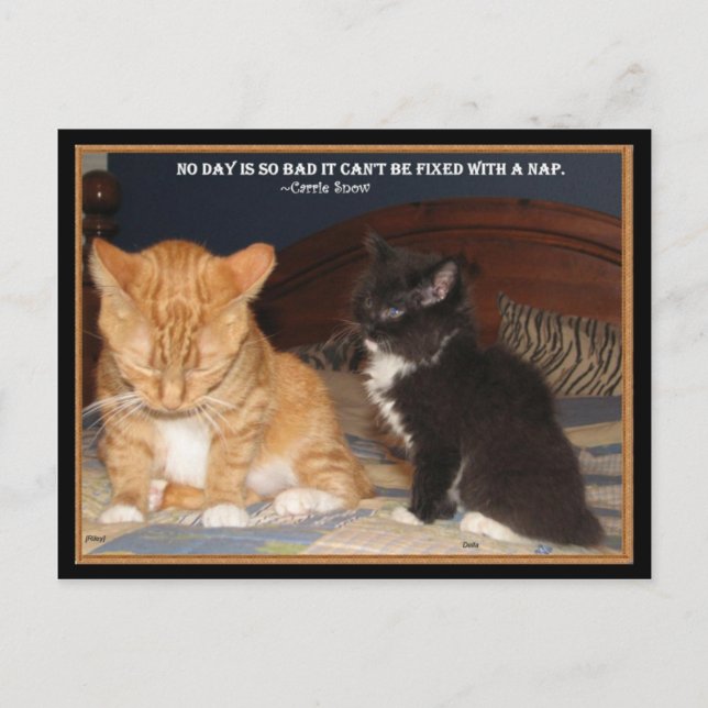 Naptime! Vykort (Framsida)