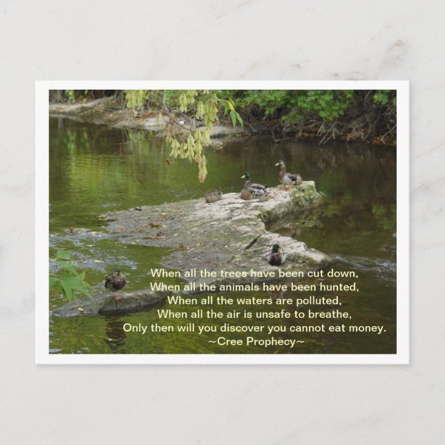 När alla vykort (Framsida)