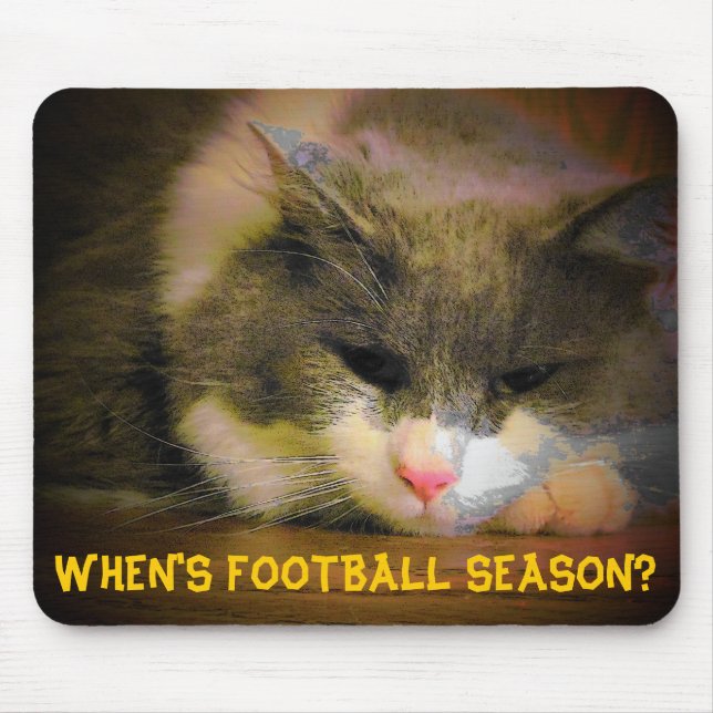 När är fotbollssäsongen? Ledsen Kattunge Musmatta (Framsidan)