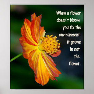När blomman inte blommar... poster