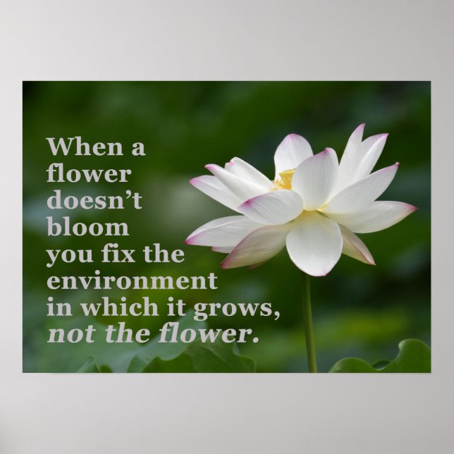 När blomman inte Poster (Framsidan)