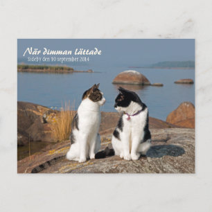 När dimman lätt ade CC0547 Sideby Postcard Vykort