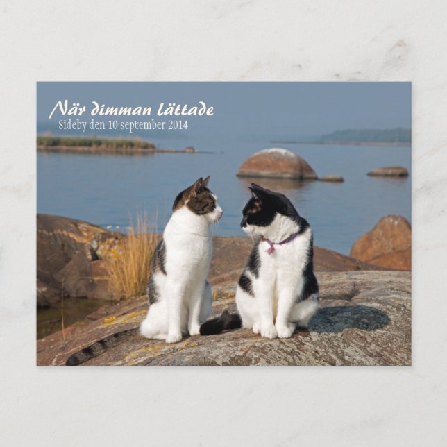 När dimman lätt ade CC0547 Sideby Postcard Vykort (Framsida)