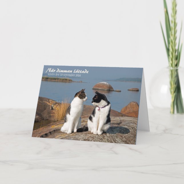 När dimman lätt ade CC0548 Sideby Greeting Card Kort (Framsida)