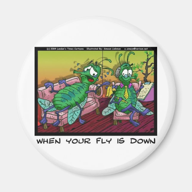 När din flygtur är nere Roliga psykiatripresenter  Magnet (Framsidan)