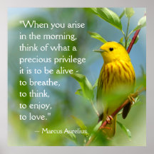 När du ger Marcus Aurelius inspirationsoffert