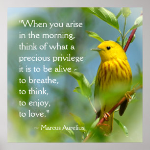 När du ger Marcus Aurelius inspirationsoffert Poster