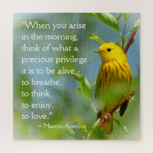 När du ger Marcus Aurelius inspirationsoffert