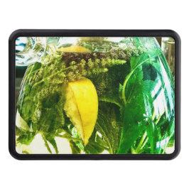 När du lever i ge citroner dragkroksskydd