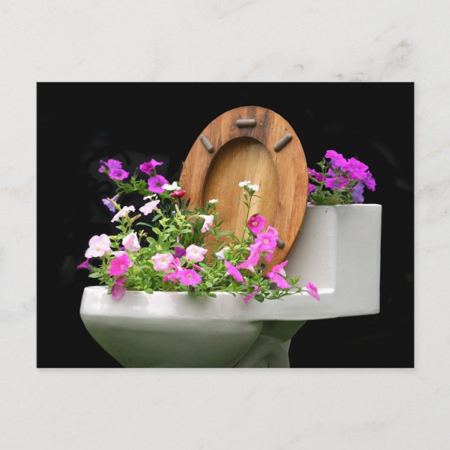 När du lever i ge pockar du vykort (Framsida)