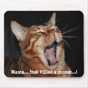 När du sjunger den Bengal katten "mamma… dödad Musmatta
