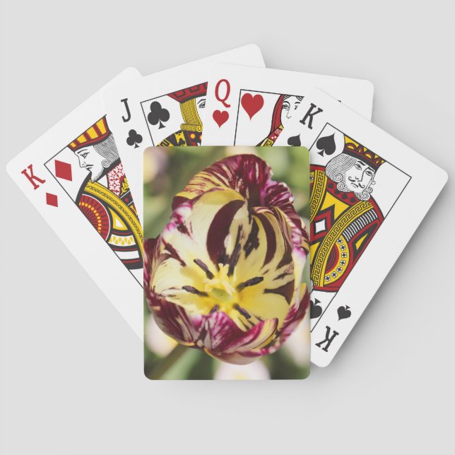 När du var på en tulip casinokort (Baksidan)