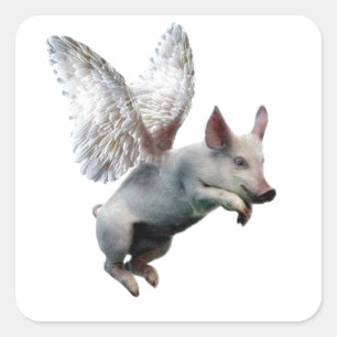När grisar flyger fyrkantigt klistermärke