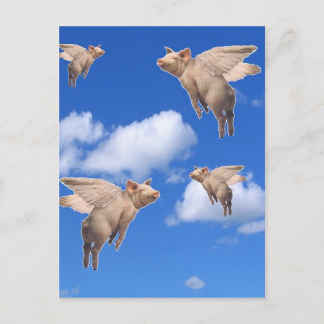 När Grisar flyger Vykort (Framsida)