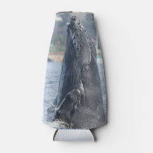 När Humpback- kalven bryts kan den kylas