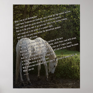 När jag är gammal hästkvinna III Poster