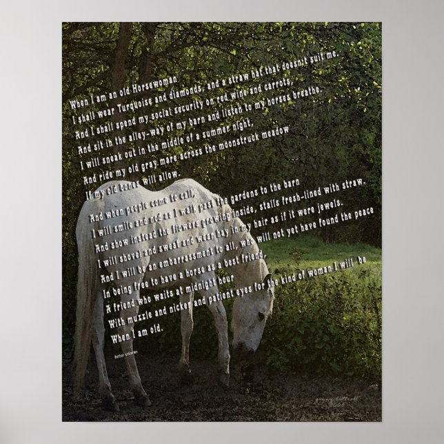 När jag är gammal hästkvinna III Poster (Framsidan)