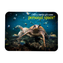 När livet får tuff simmar bara behållan.