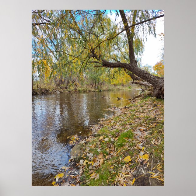 När Löven spelar en melodi Poster (Framsidan)