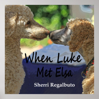 När Luke Met Elsa Poster