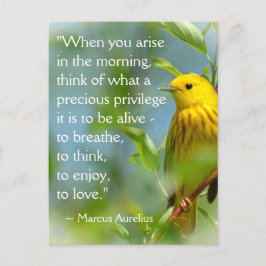 När Marcus Aurelius inspirationsoffert P Vykort