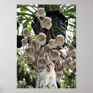 När naturen kopierar naturen. poster